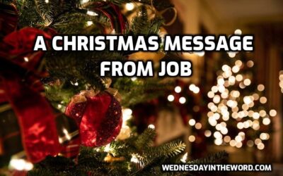 What if the World is not Merry or Bright? A Christmas Message (Job 19:25)