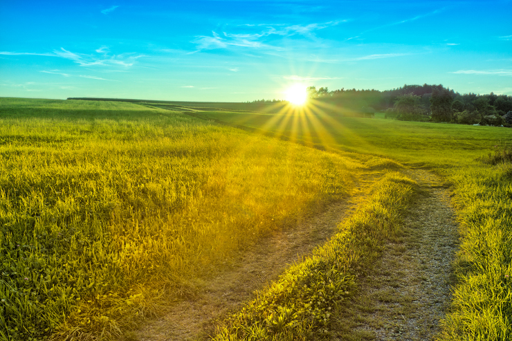 Parable of the Sower & the Seed — Wednesday in the Word