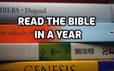 Read through the Bible