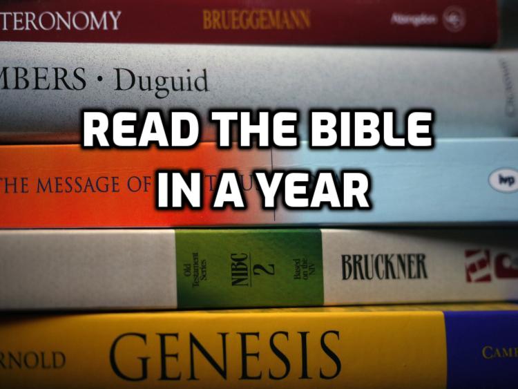 Bible Reading Plans | WednesdayintheWord.com