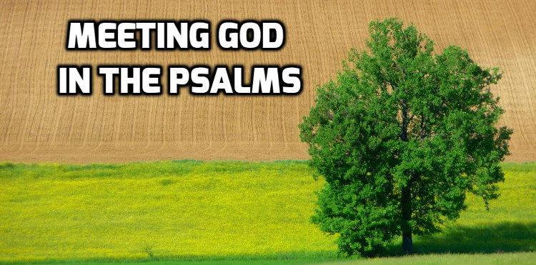04 Meeting God in the Psalms