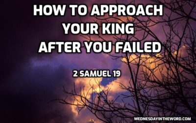 07 How to Approach Your King After You Failed (2 Samuel 19)