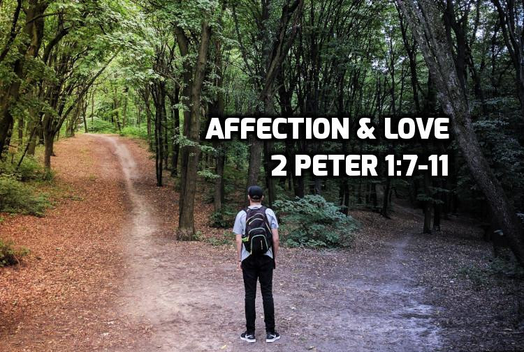 04 2 Peter 1:7-11 Brotherly affection & love