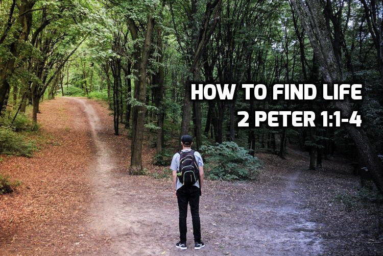 01 2 Peter 1:1-4 How to find Life