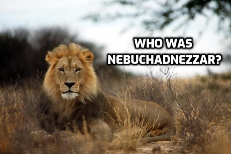 Who was Nebuchadnezzar? - Wednesday in the Word