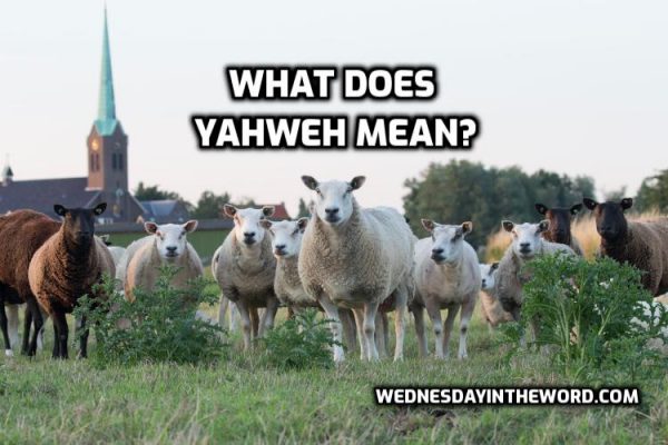 What does YAHWEH mean?  Wednesday in the Word