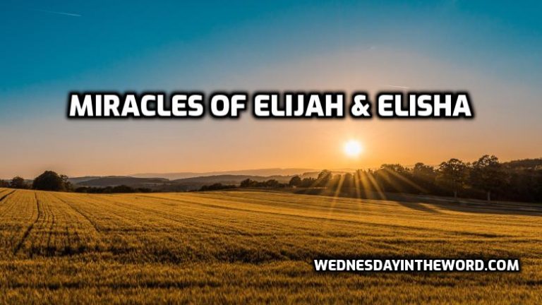 bible study elijah elisha
