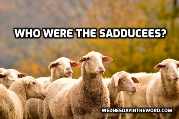 who-were-the-sadducees-wednesday-in-the-word