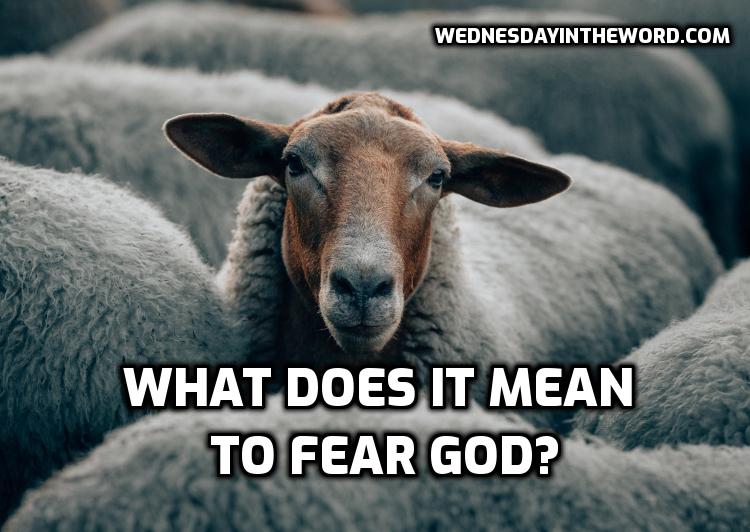 What Does It Mean To fear God Wednesday In The Word