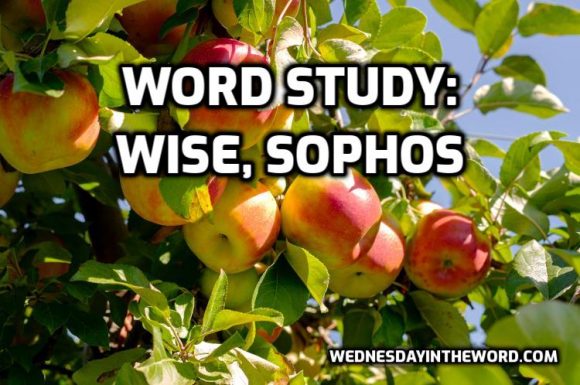 wise-sophos-g4680-wednesday-in-the-word