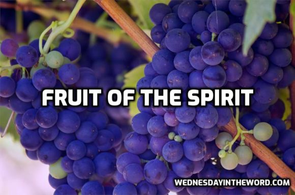 Fruit of the Spirit - Wednesday in the Word