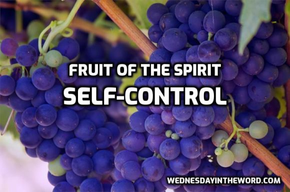 11 Fruit of the Spirit: Self-control - Wednesday in the Word