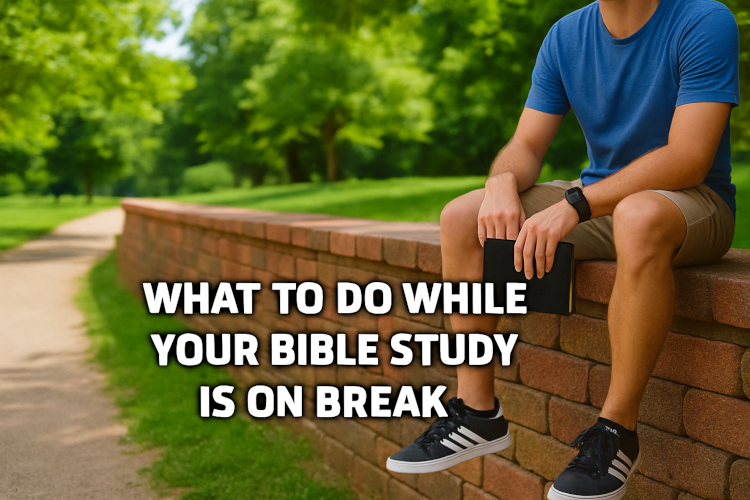 16 things to do while your Bible study is on break