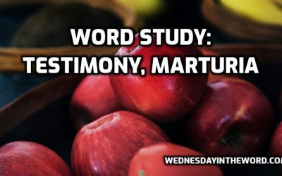 testimony, marturia, G3141