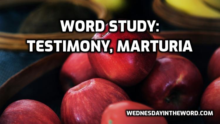 testimony, marturia, G3141