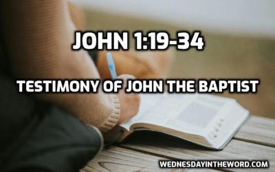 03  The Testimony of John the Baptist (John 1:19-34)