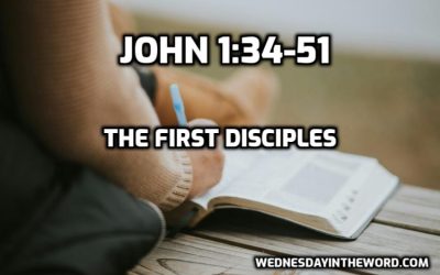 04 Jesus calls the First Disciples (John 1:34-51)