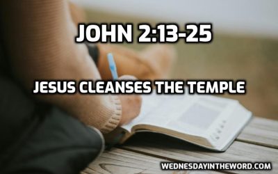 06 Jesus Cleanses the Temple: Understanding His Authority (John 2:13-25)