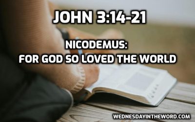 08 Nicodemus: For God so loved the world (John 3:14-21)