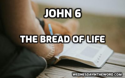 13 The Bread of Life (John 6)