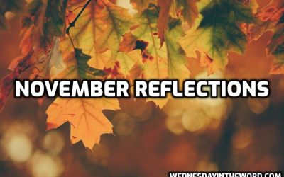 November 2024 Reflections