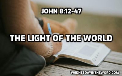 16 The Light of the World (John 8:12-47)