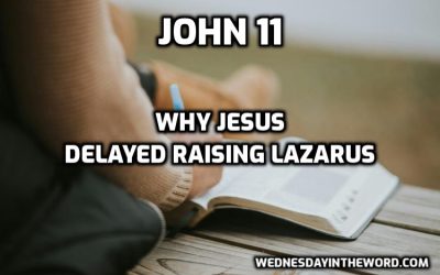 21 Why Jesus Delayed Raising Lazarus (John 11)