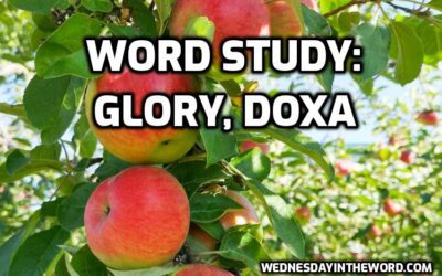 glory, doxa, G1391