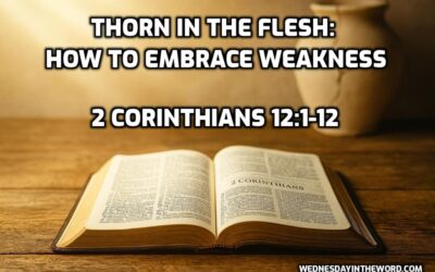 16 Thorn in the Flesh: How to Embrace Weakness (2 Corinthians 11)