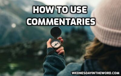How to Use Commentaries