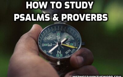 How to Study Psalms & Proverbs