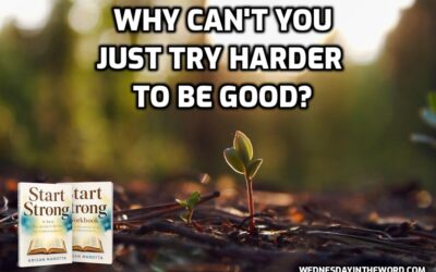 02 Why Can’t You Just Try Harder to Be Good?