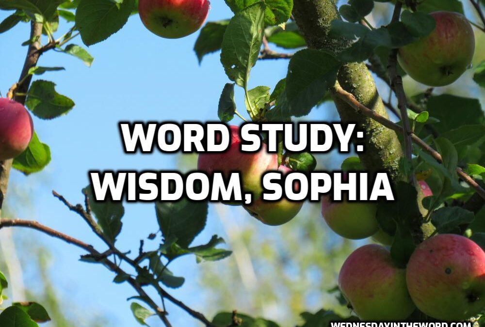 wisdom, sophia, G4678