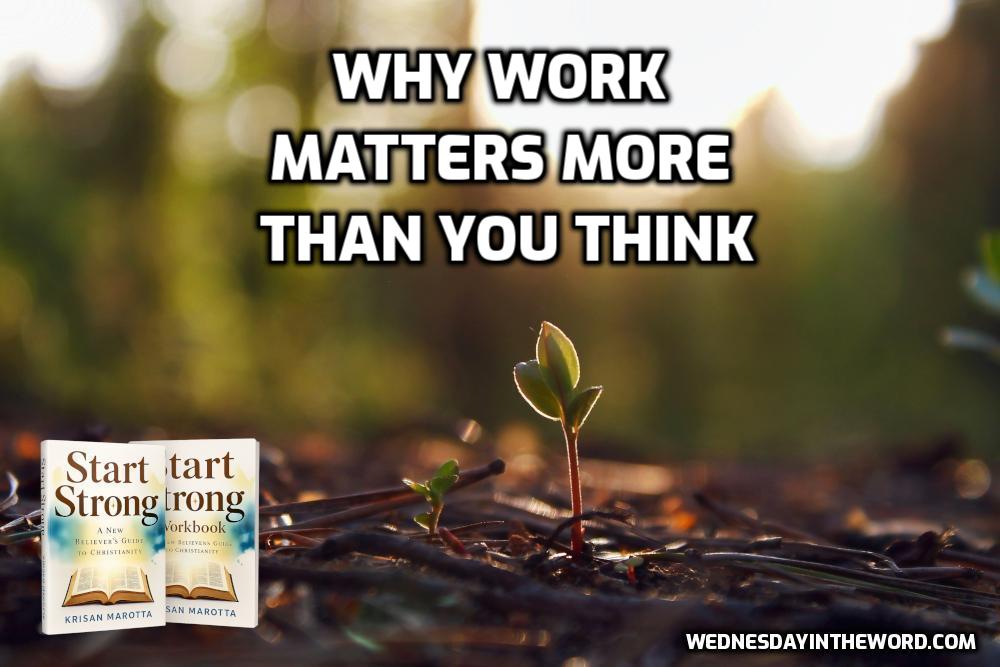 Why Work Matters More than you Think | WednesdayintheWord.com