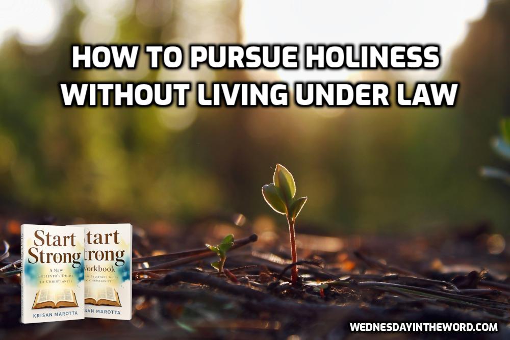 How to Pursue Holiness