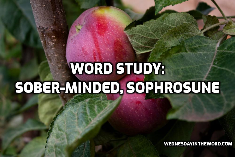Word Study: sober-minded, sophrosune